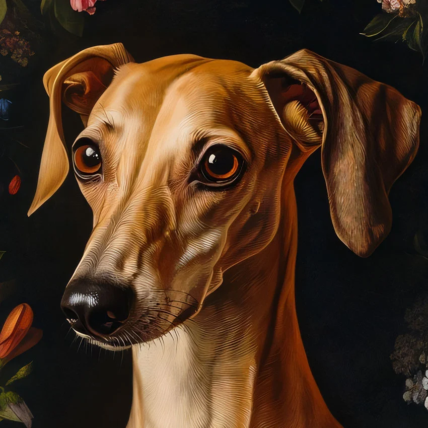 Framed Greyhound portrait – classic dog art from The Garden Menagerie